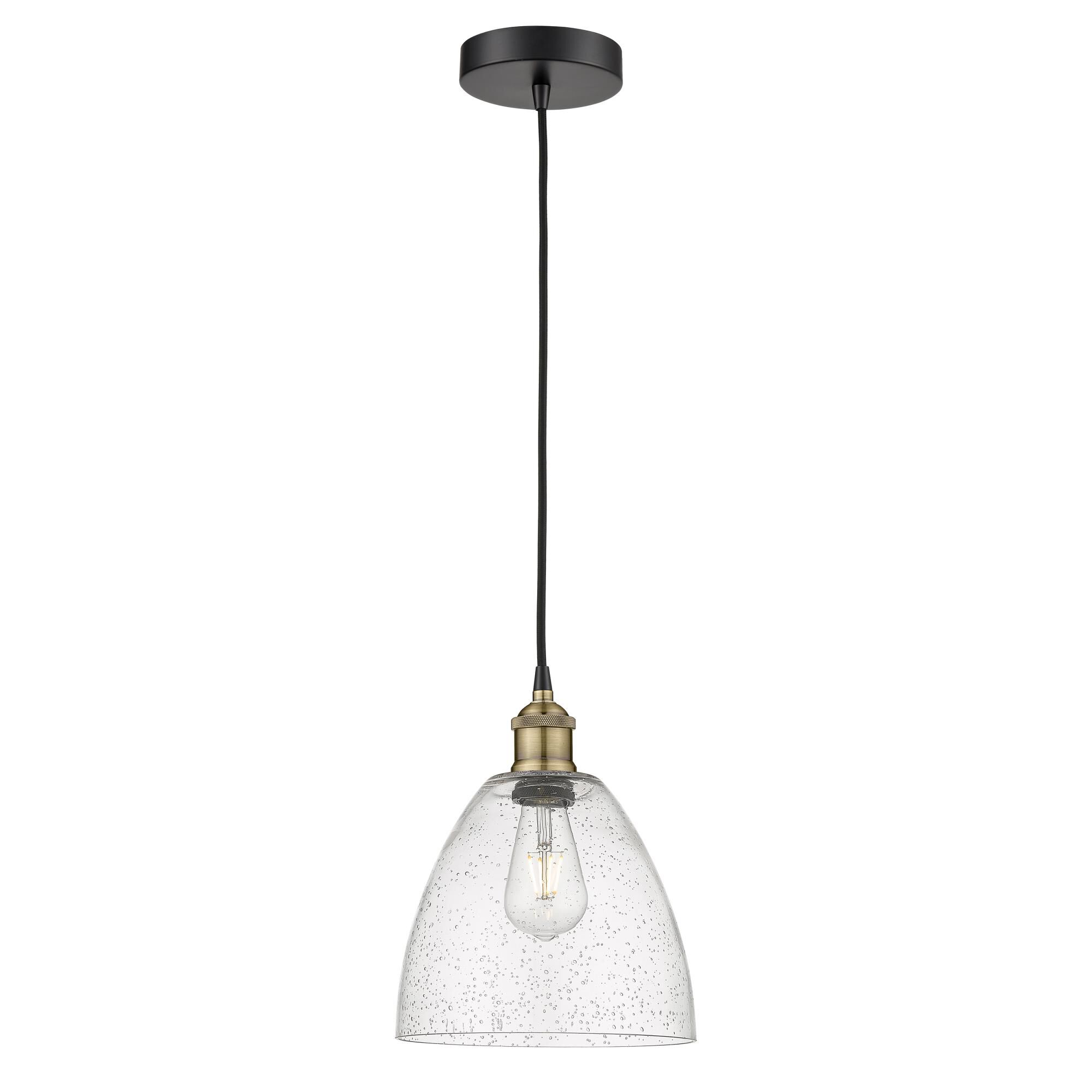Bruno Marashlian Edison Dome 9 Inch Mini Pendant by Innovations Lighting