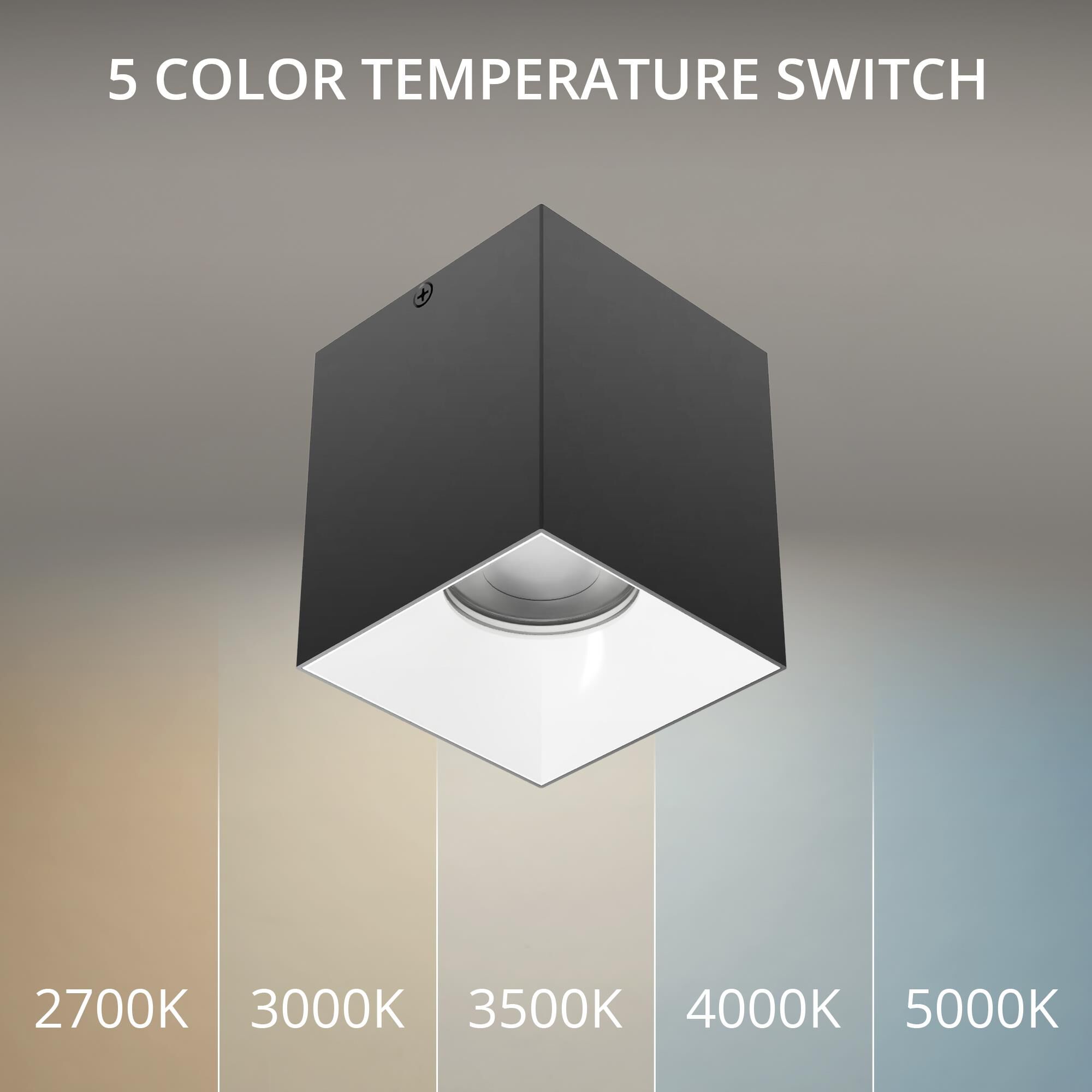 Zoron 4 Inch Outdoor Flush Mount by WAC Lighting