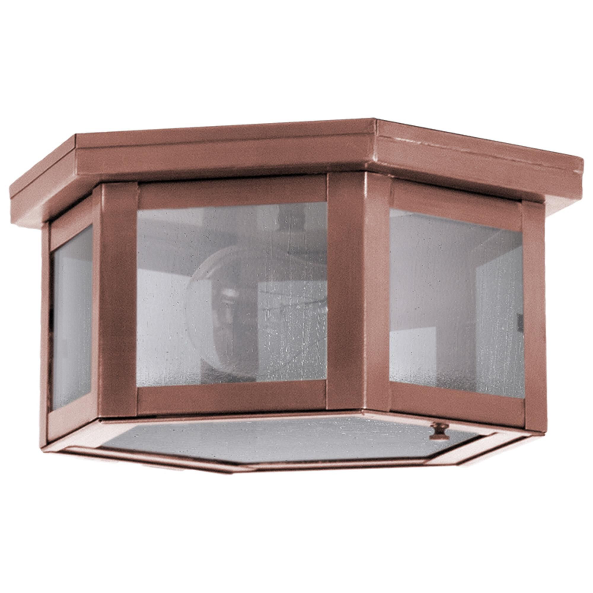Williams 10 Inch Outdoor Flush Mount,