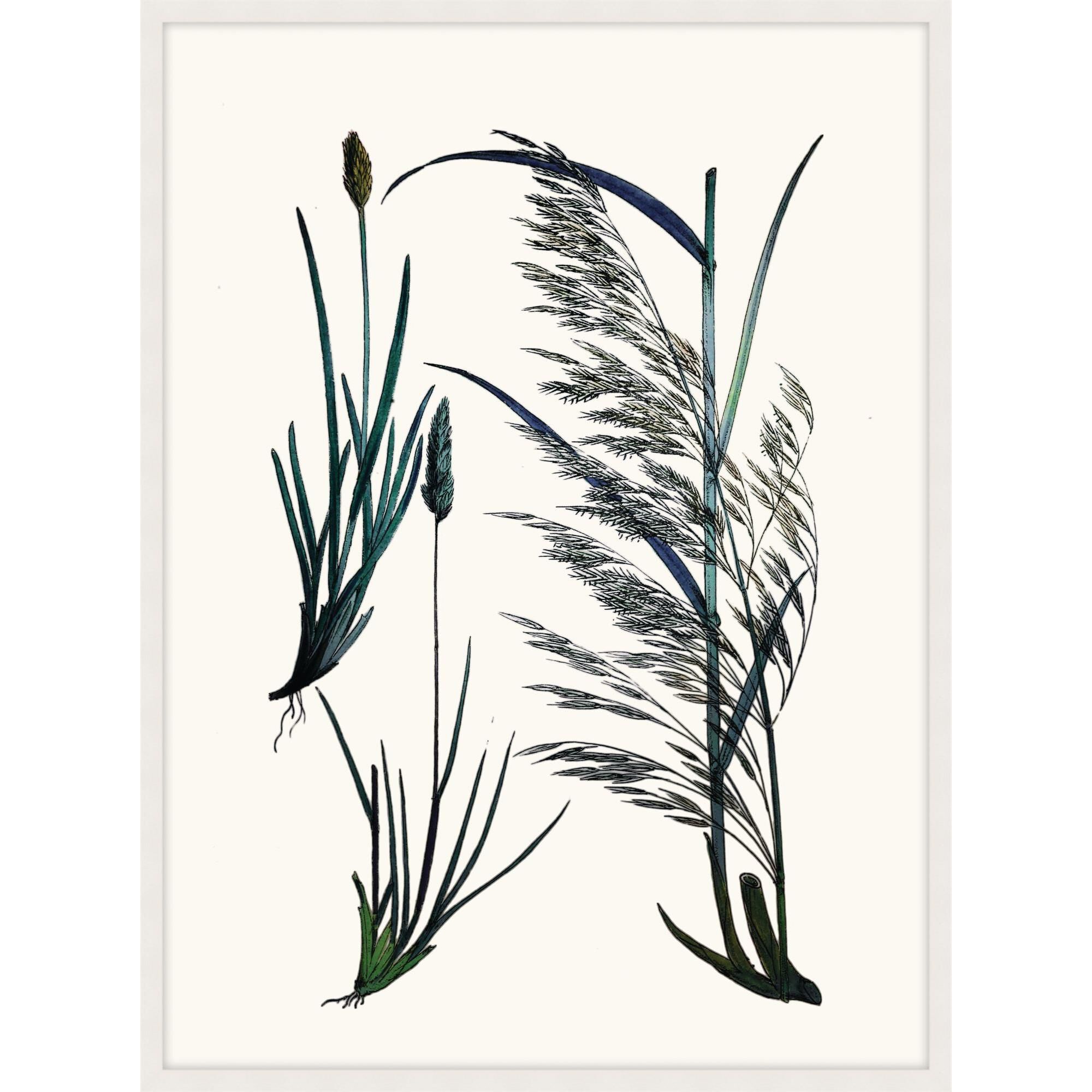 Studio L57 Nouvelle Careful In Contemplation Print by LEVEL57