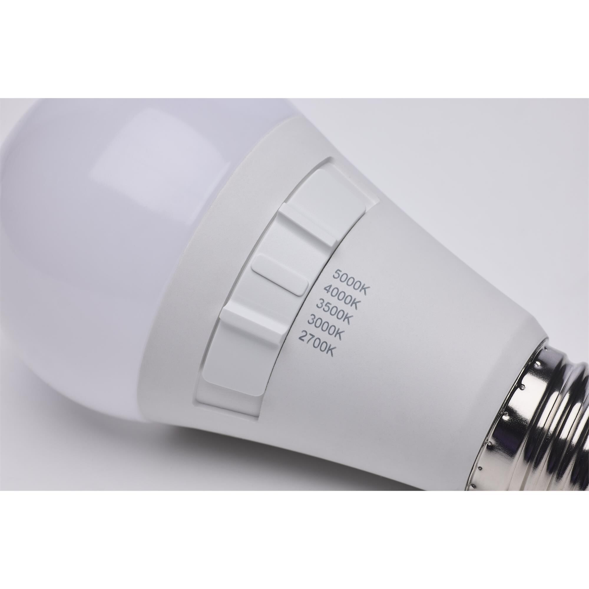 12 Watt 2700K A19 LED Light Bulb,