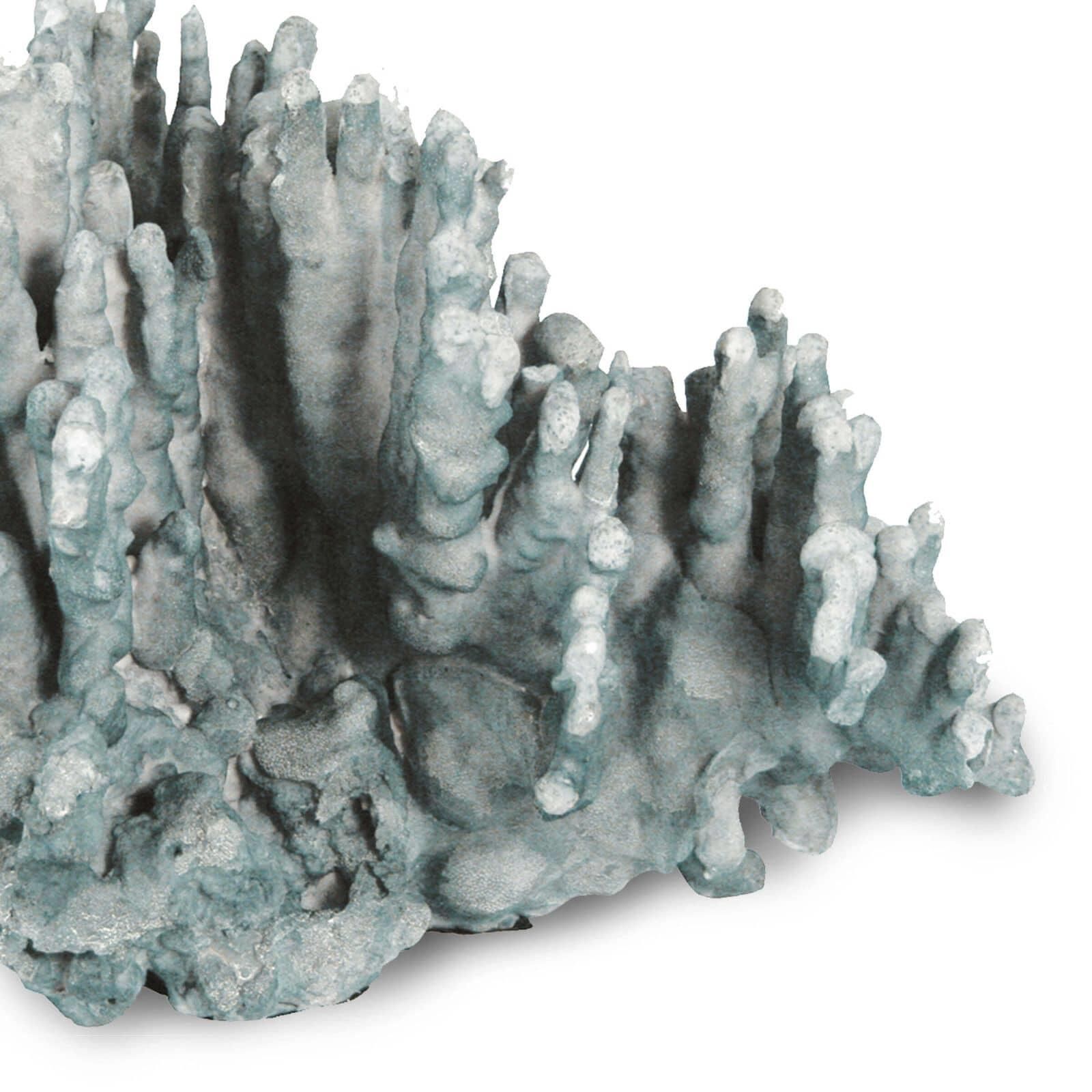 Coral Art 11 Inch Sculpture by Regina Andrew