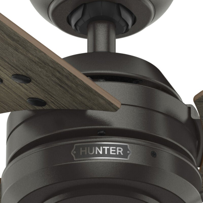 Cassius 52 Inch Ceiling Fan by Hunter Fan