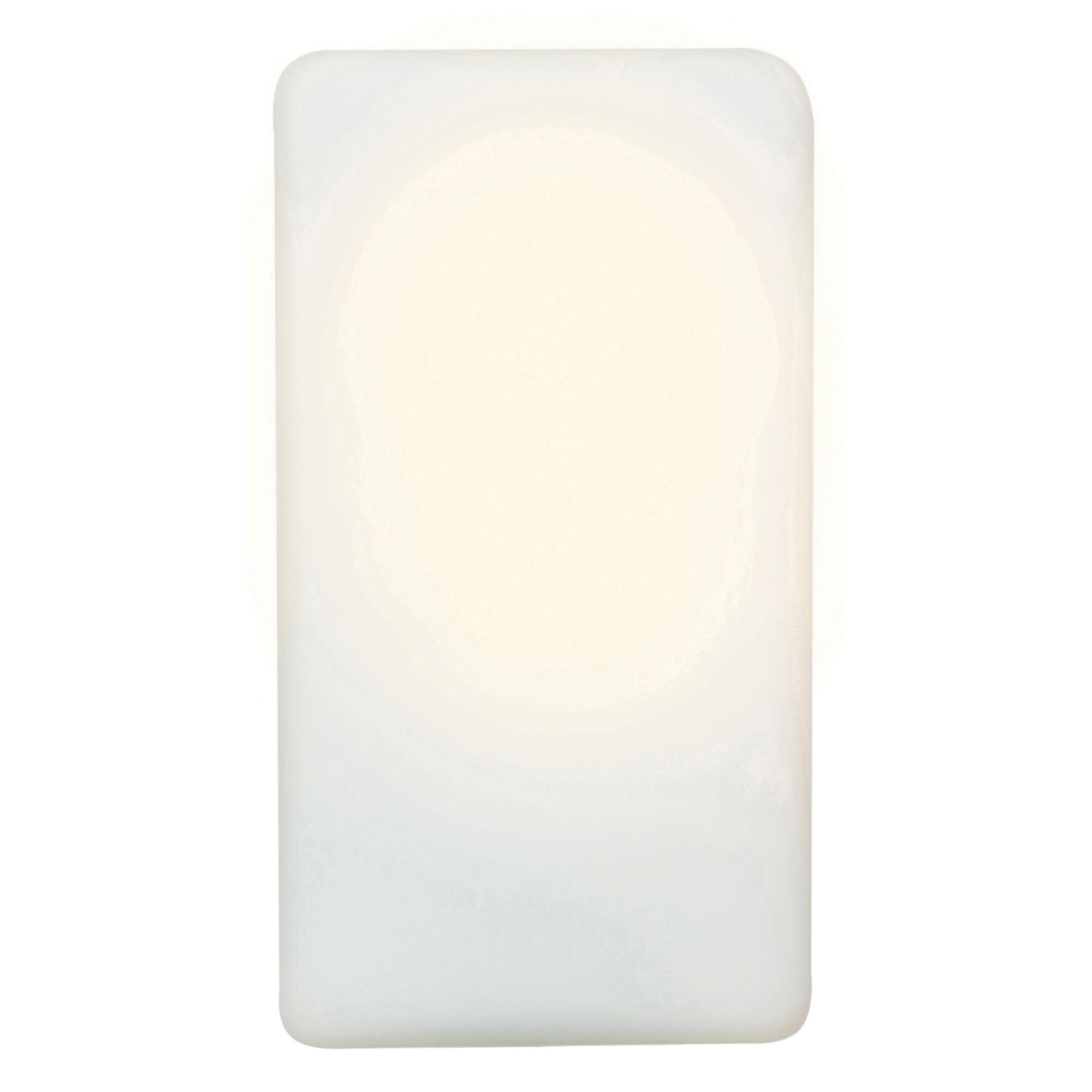 Brick 10 Inch Tall 1 Light Outdoor Wall Light by Access Lighting