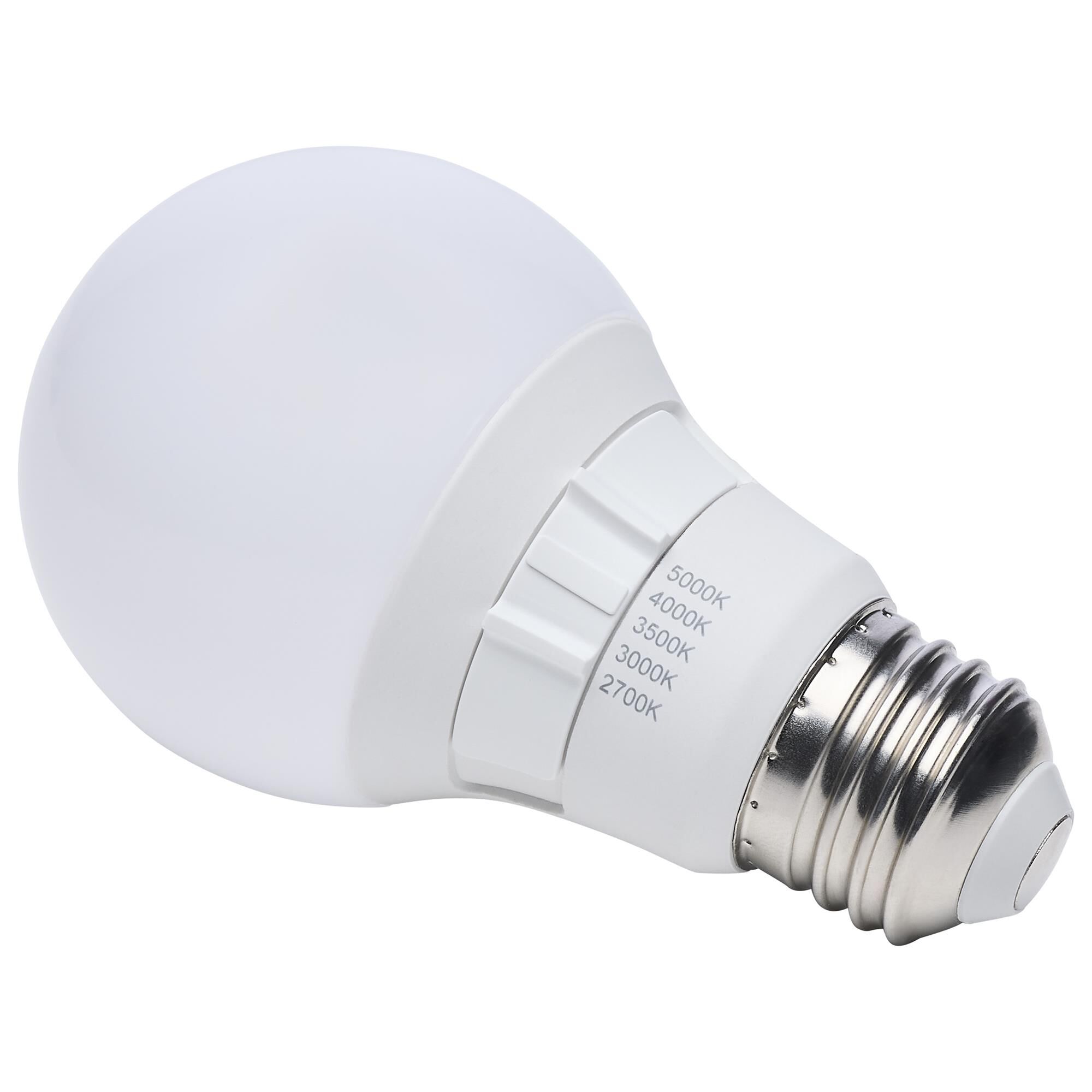 6 Watt 2700K A19 LED Light Bulb,