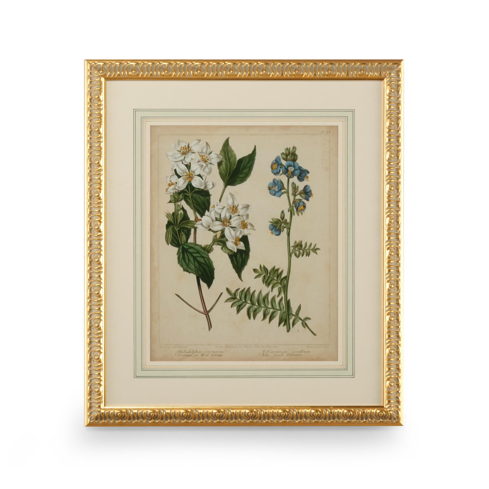 Cottage Florals Print,