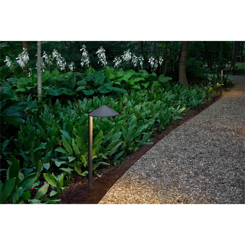 Hardy Island 18 Inch Decorative Pathway Light by Hinkley