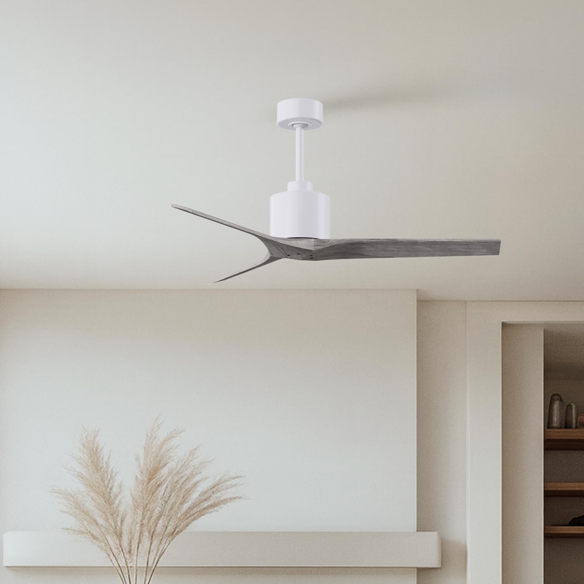 Mollywood 52 Inch Ceiling Fan by Matthews Fan Company