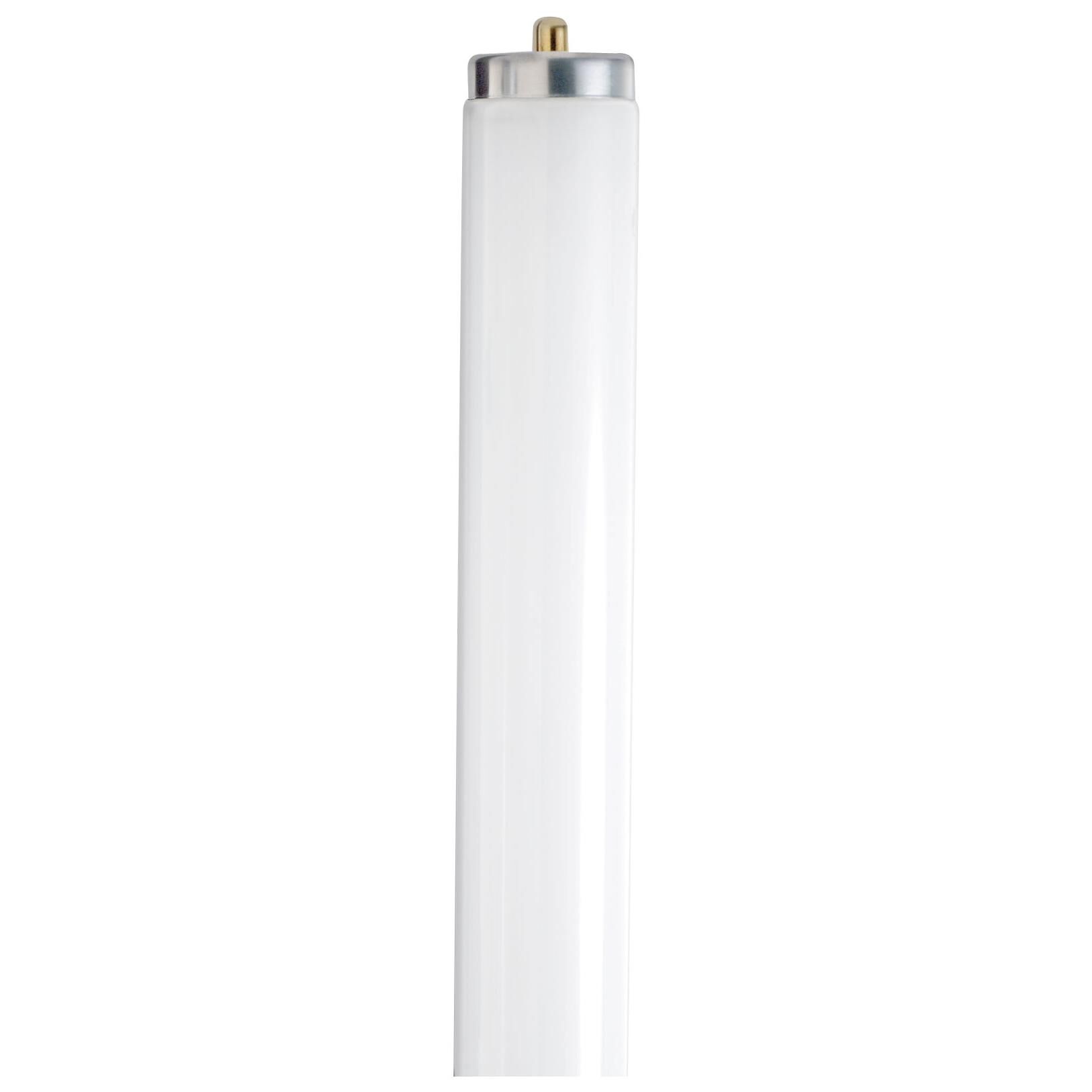 59 Watt 3500K T8 Fluorescent Light Bulb,