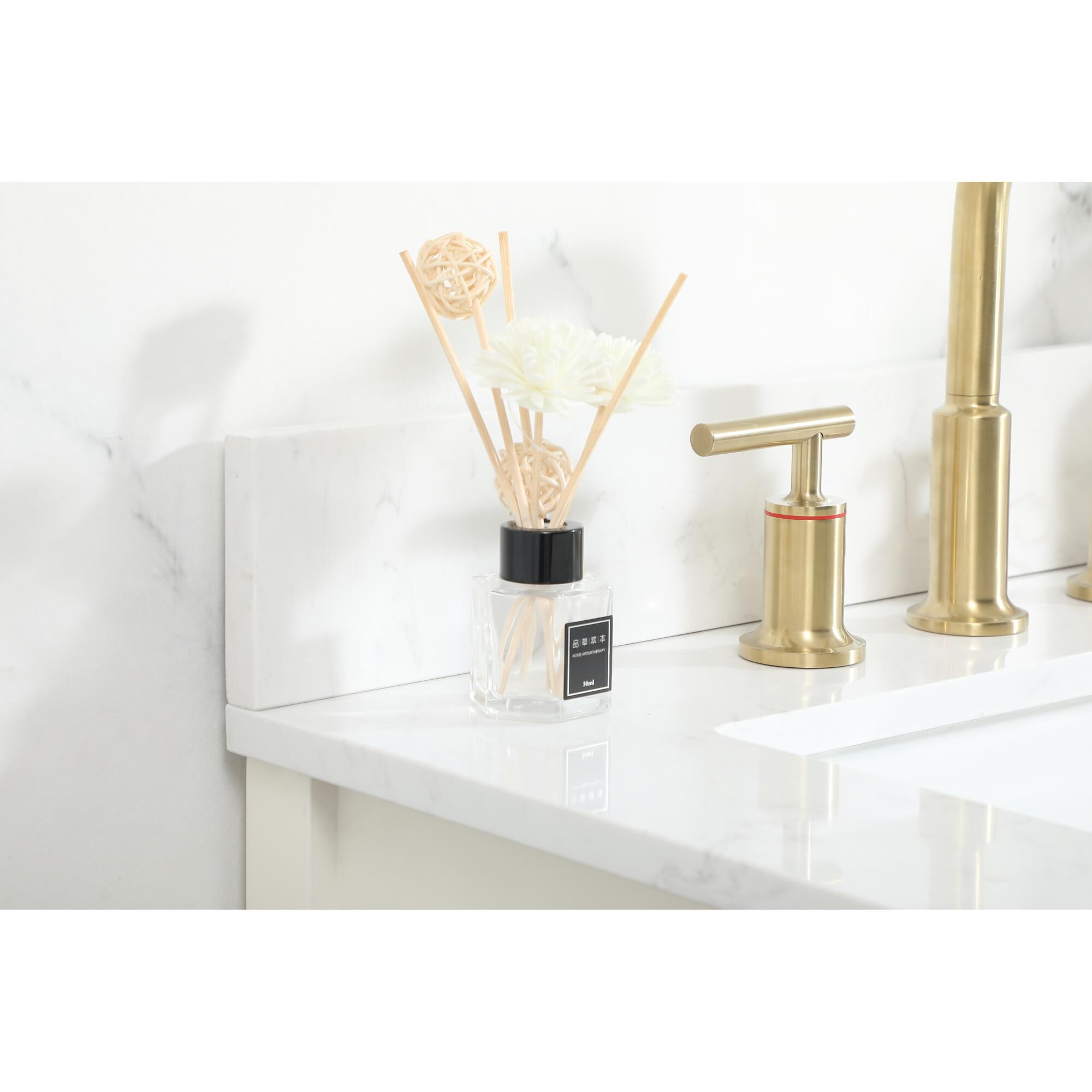 Larkin 60 Inch Bath Vanity by Elegant Decor