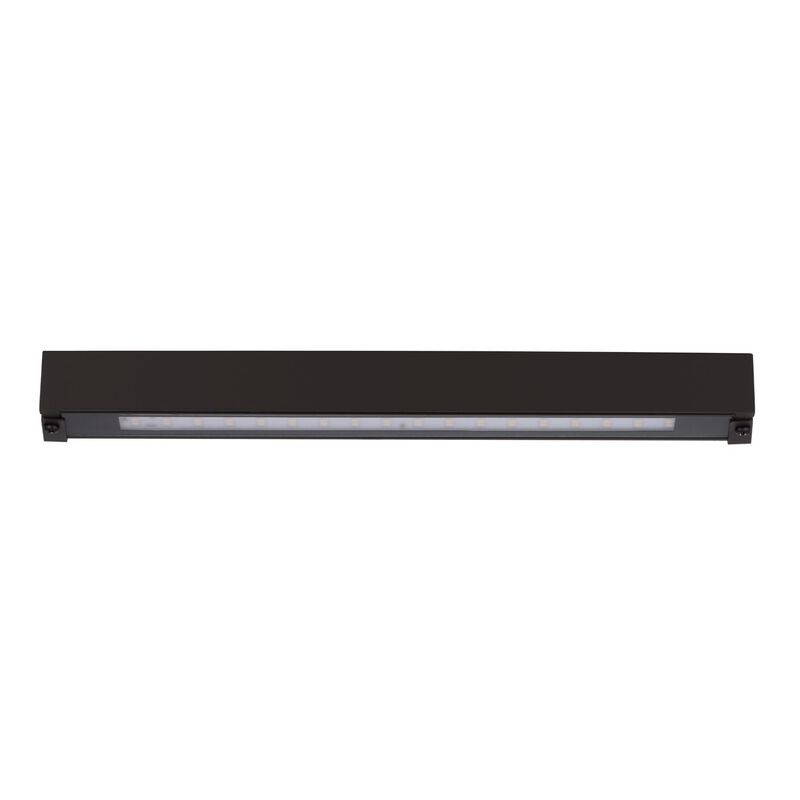 Colorscaping 12 Inch Landscape Specialty Light by WAC Lighting