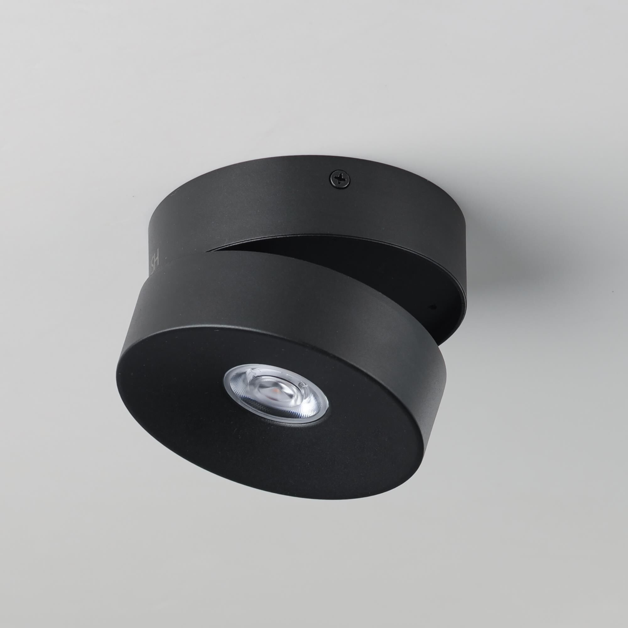 Swinger 5 Inch Flush Mount by Maxim Lighting