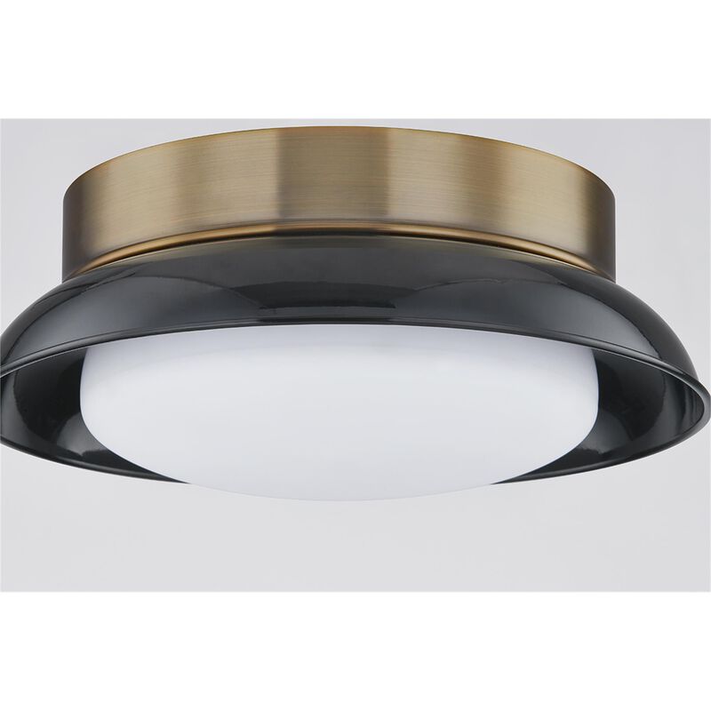 Arnie 14 Inch 2 Light Flush Mount by Troy Lighting