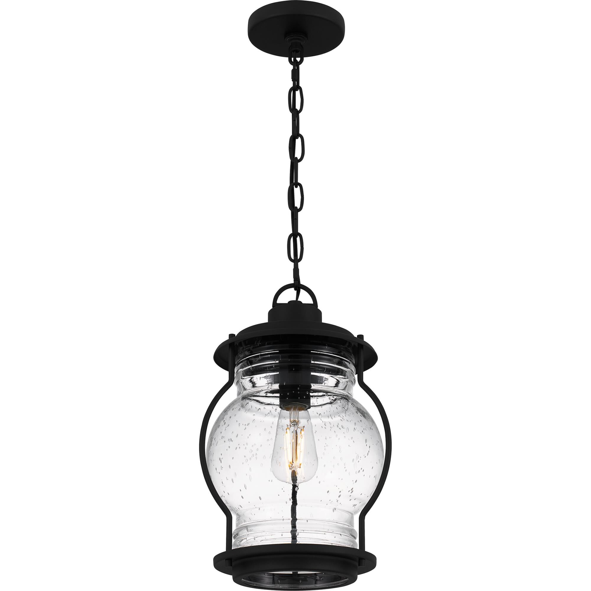 Luther 9 Inch Outdoor Hanging Lantern by Quoizel