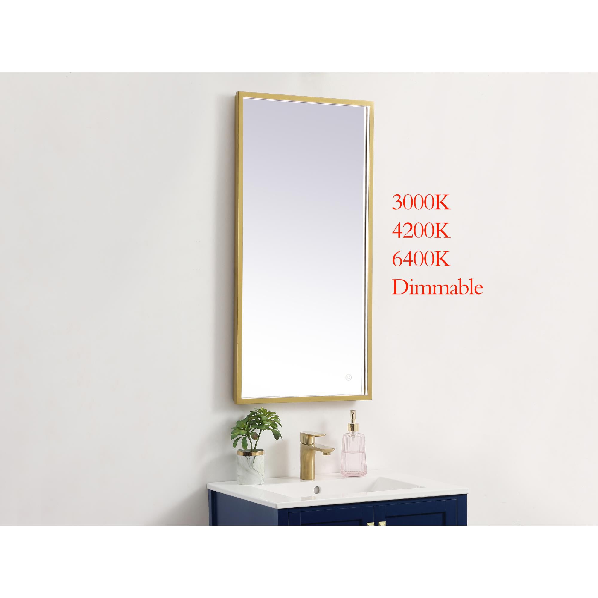 Pier LED Lighted Mirror by Elegant Decor