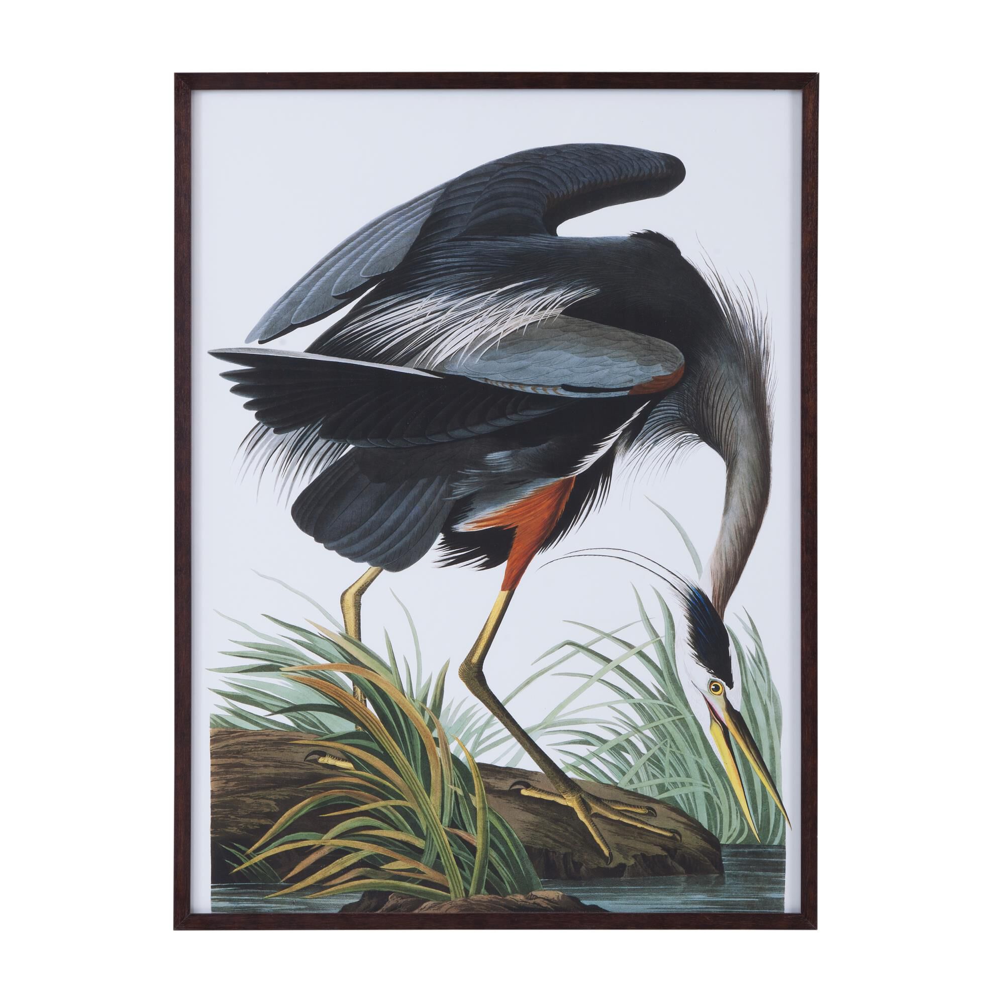 Audubon 35 Inch Print By Bassett Mirror Company