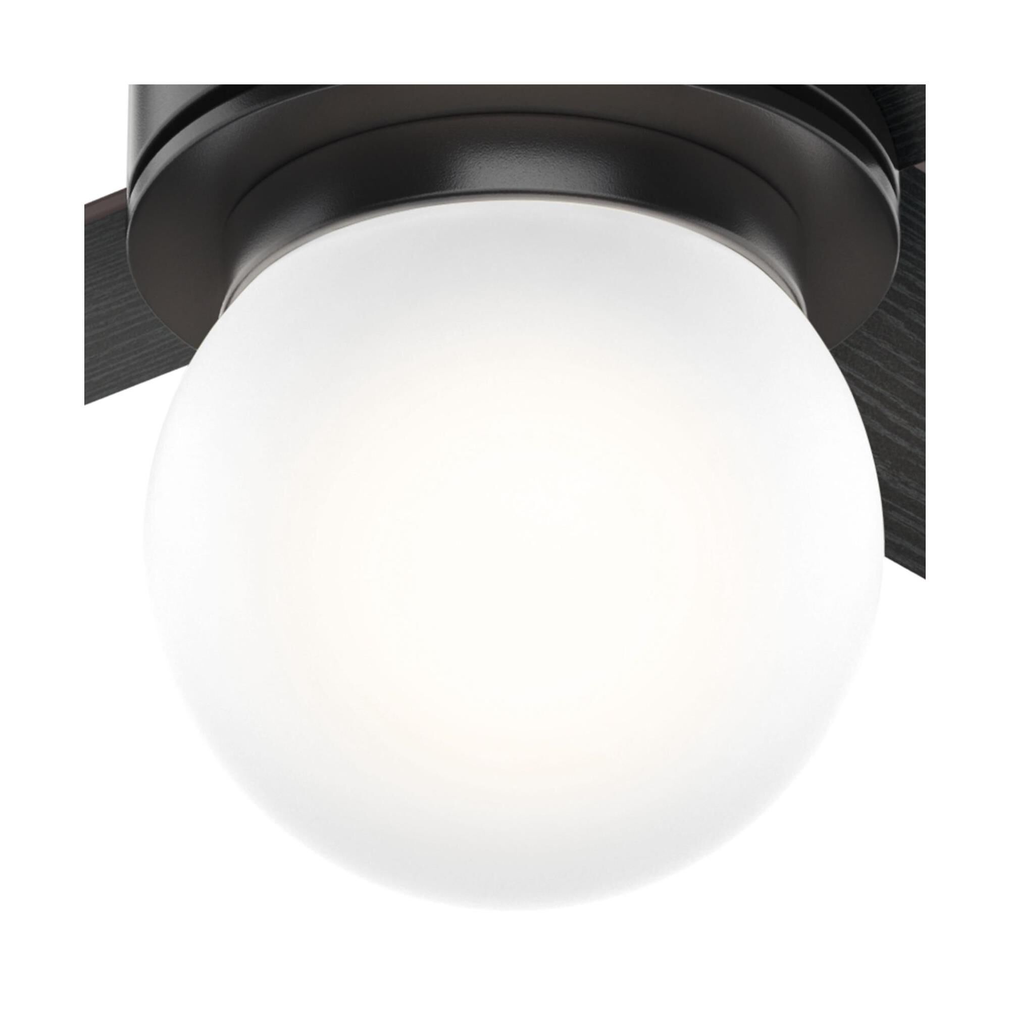 Hepburn 52 Inch Ceiling Fan with Light Kit by Hunter Fan