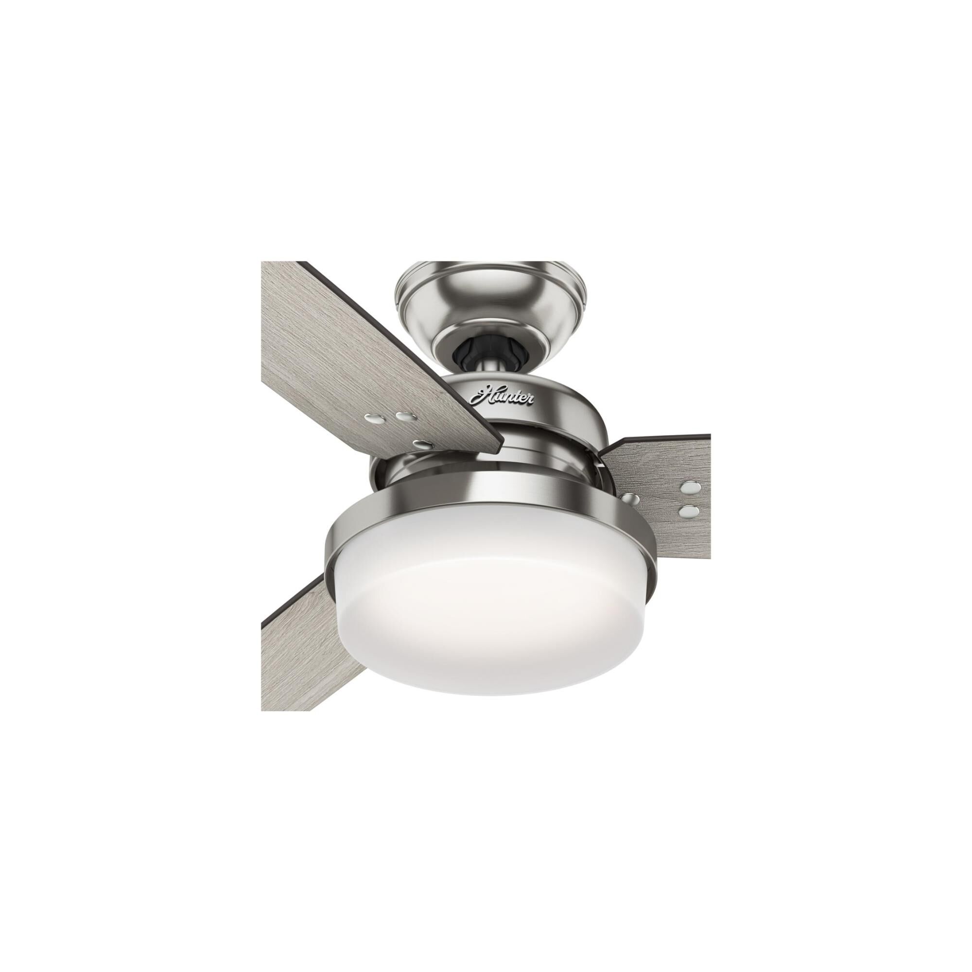 Sentinel 60 Inch Ceiling Fan with Light Kit by Hunter Fan