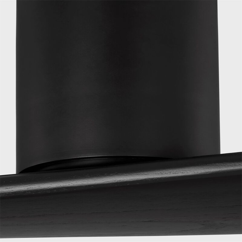 Peter Bristol Plank Smart 52 Inch Flush Mount Fan by Visual Comfort Fan