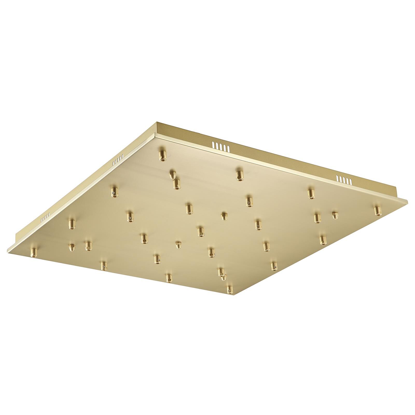 Avenue Lighting Multi Port Canopy by Avenue Lighting