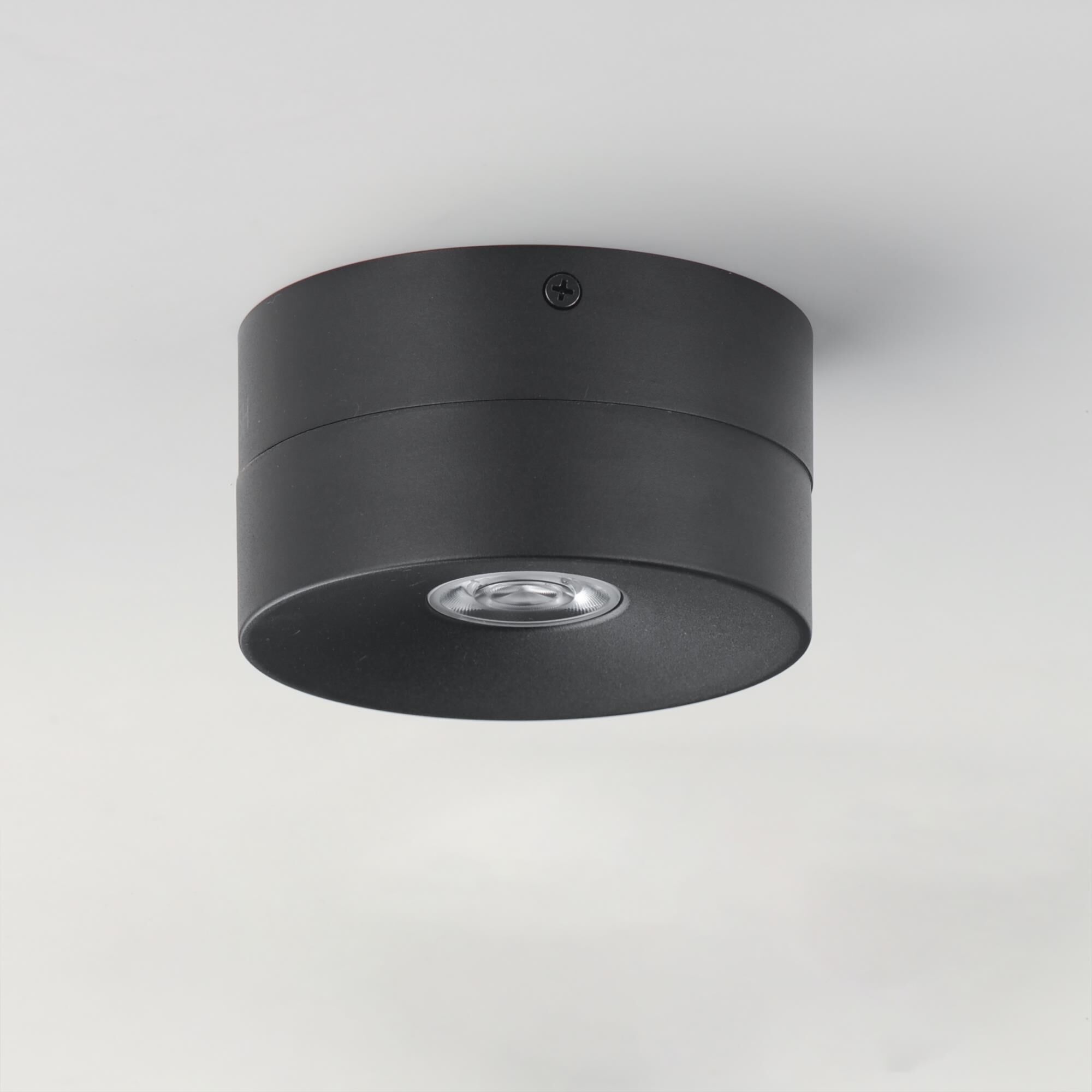 Swinger 5 Inch Flush Mount by Maxim Lighting