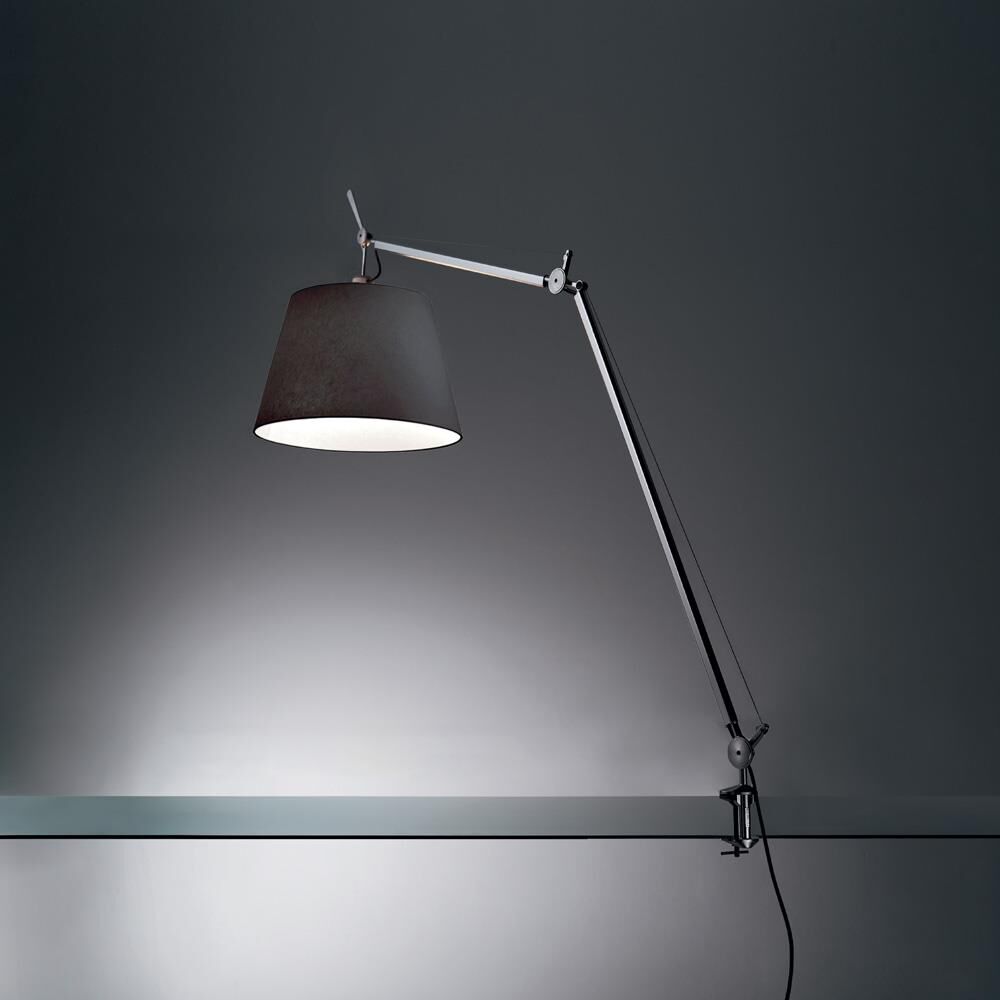 Michele De Lucchi, Giancarlo Fassina Tolomeo 46 Inch Desk Lamp by Artemide