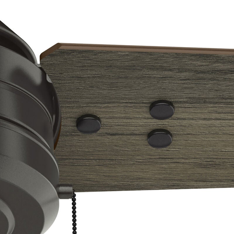 Cassius 44 Inch Ceiling Fan by Hunter Fan