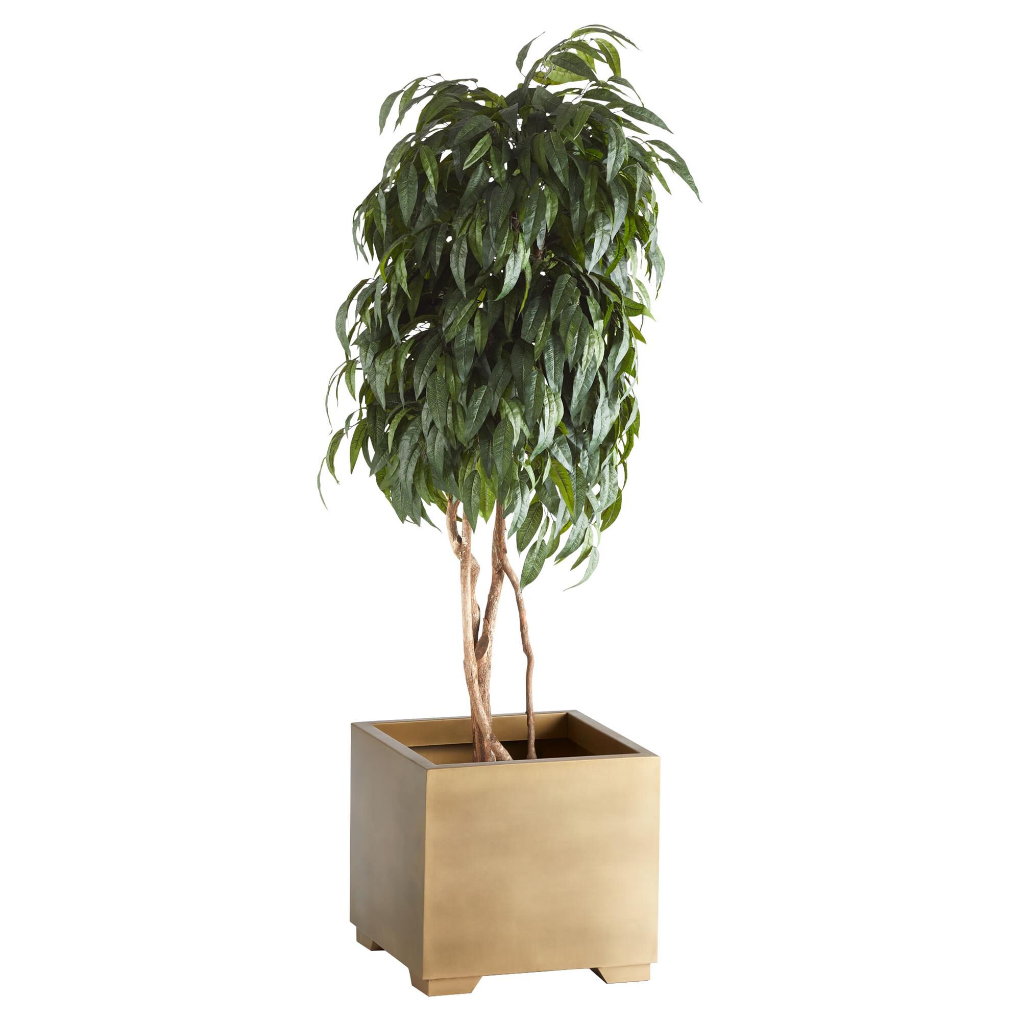Aster Planter by Cyan Designs