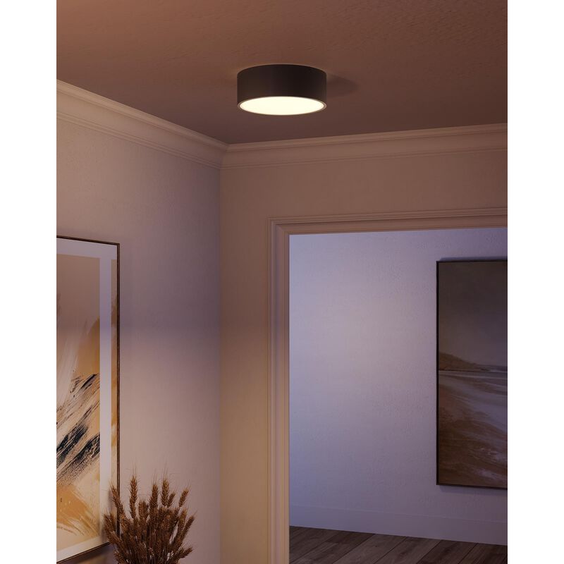 Brisbane 12 Inch 2 Light Flush Mount by Alora Mood