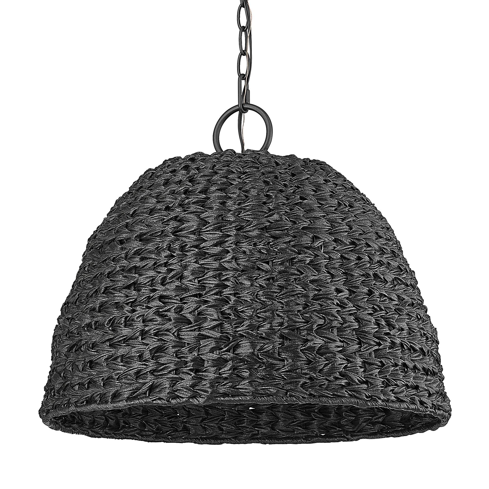 Rue 21 Inch Outdoor Hanging Lantern by Golden Lighting