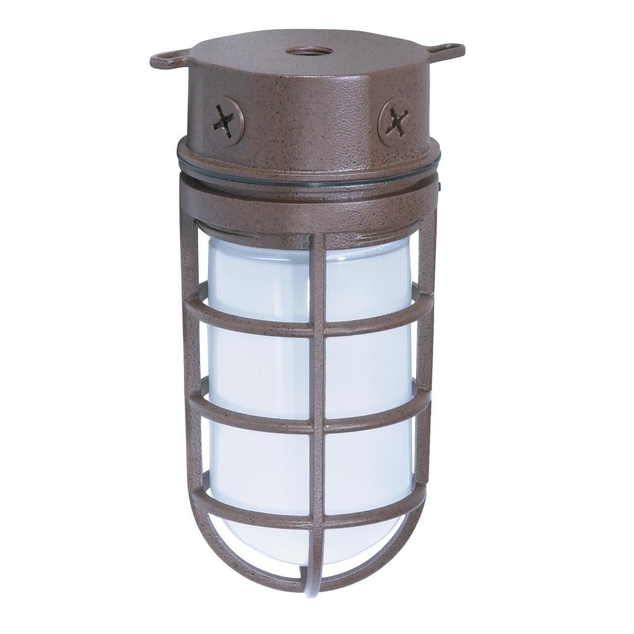 4 Inch 1 Light Outdoor Flush Mount by Nuvo Lighting