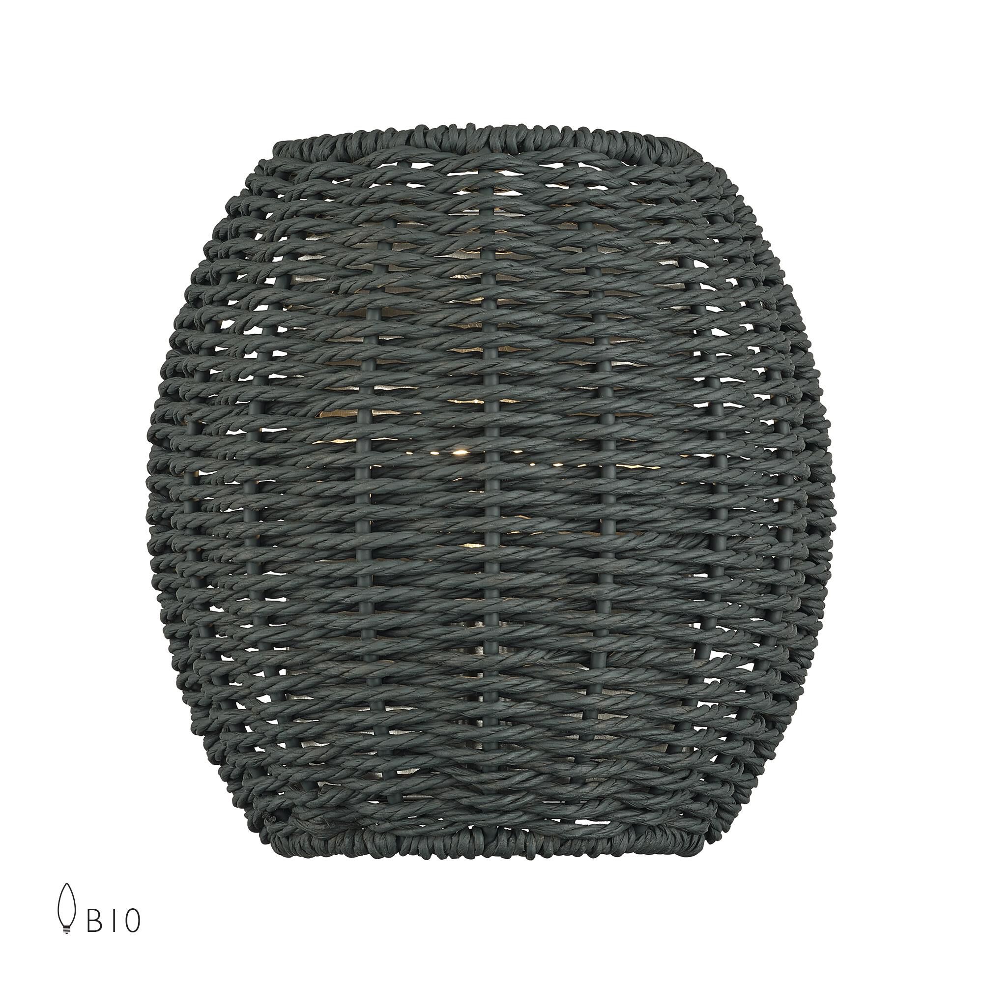 Deluna Wall Sconce by Livex Lighting