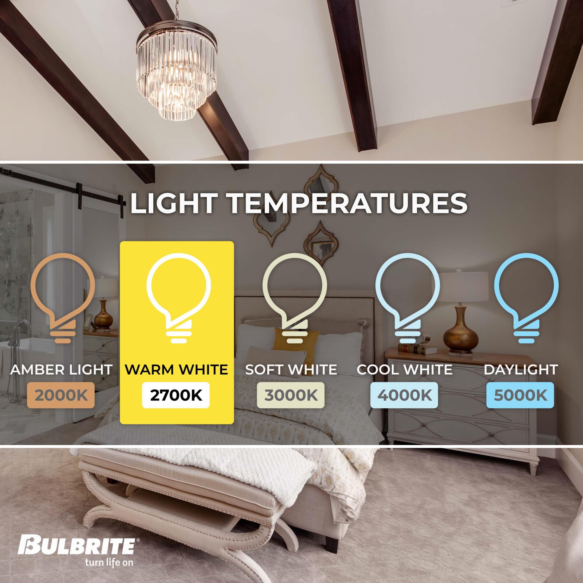 Dimmable 4.5 Watt 2700K T6 LED Light Bulb by Bulbrite