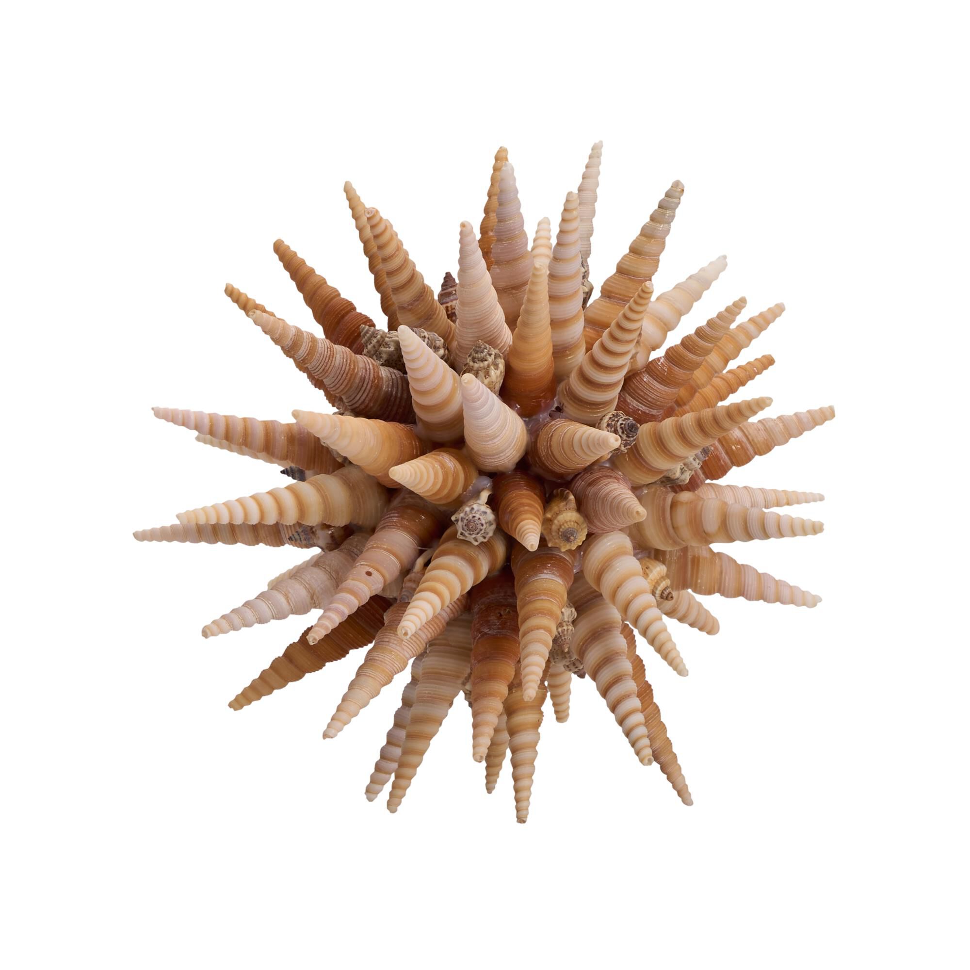 Marlin Shell Decorative Sphere by Chelsea House