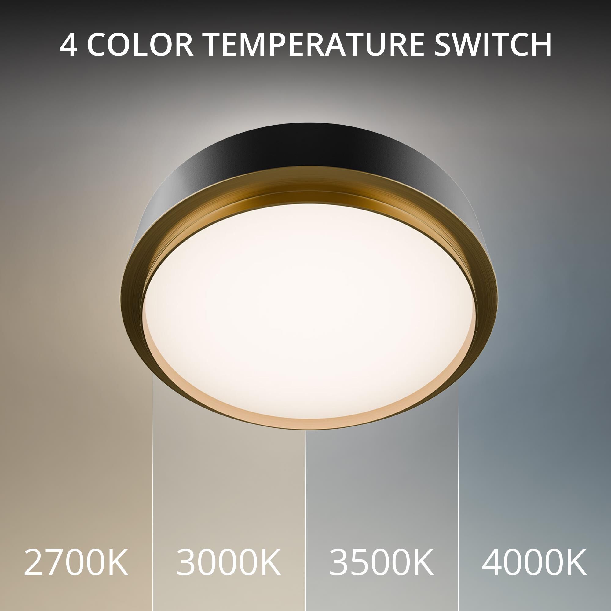 Shown in Black and Aged Brass finish