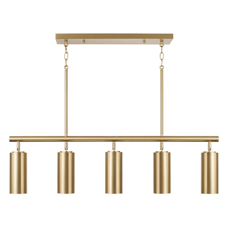 Robbie 40 Inch Linear Suspension Light by Capital Lighting