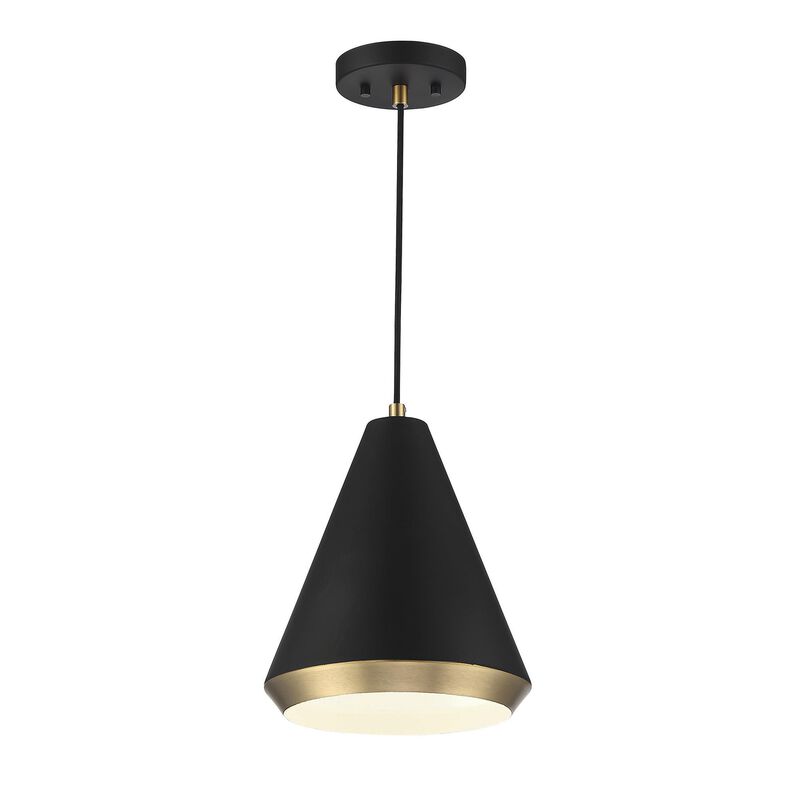 Meridian Lighting 10 Inch LED Mini Pendant