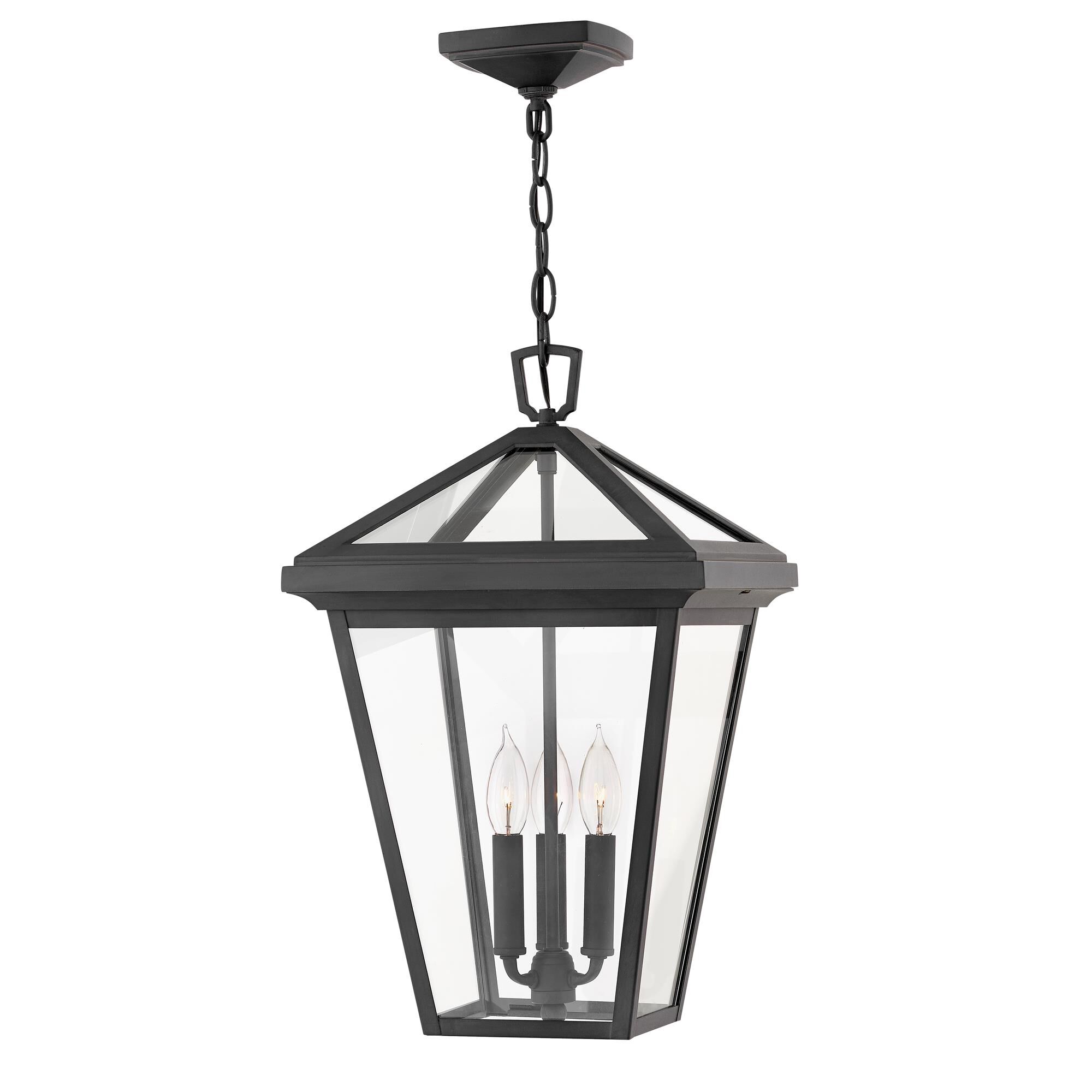 Alford Place Medium Outdoor Hanging Lantern,