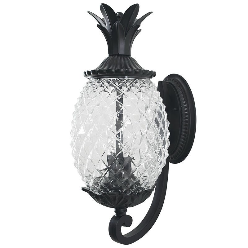 Lanai 18 Inch Tall 2 Light Outdoor Wall Light by Acclaim Lighting