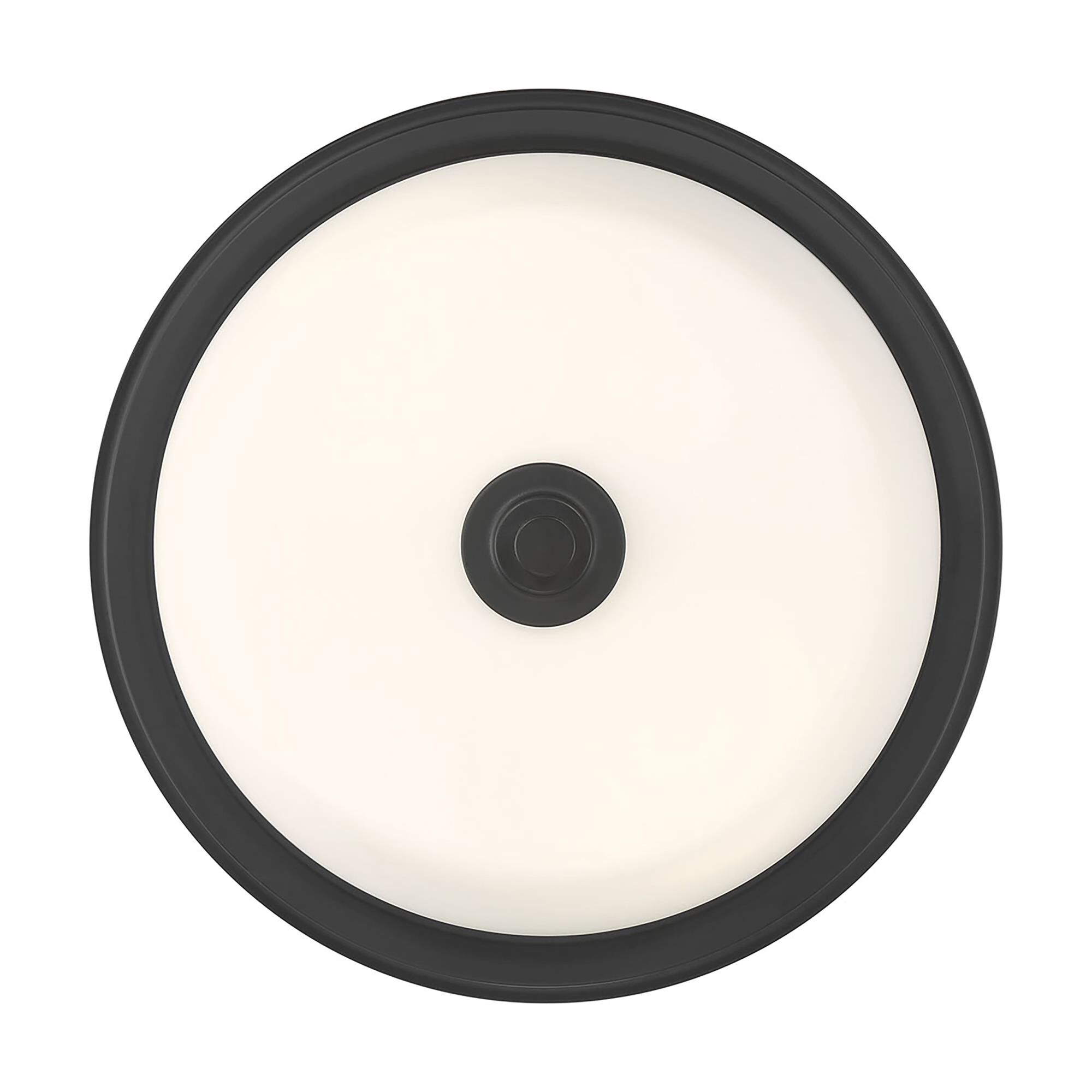 Strayhan 13 Inch Flush Mount by Millennium Lighting