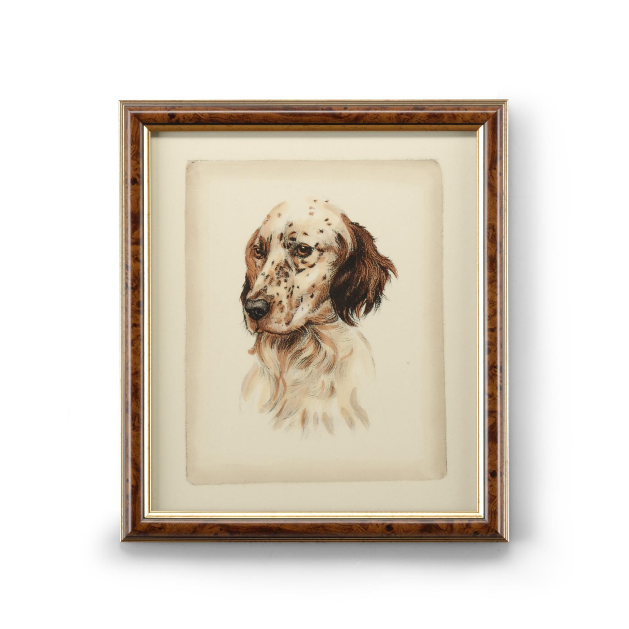 DANCHIN SETTER Print,