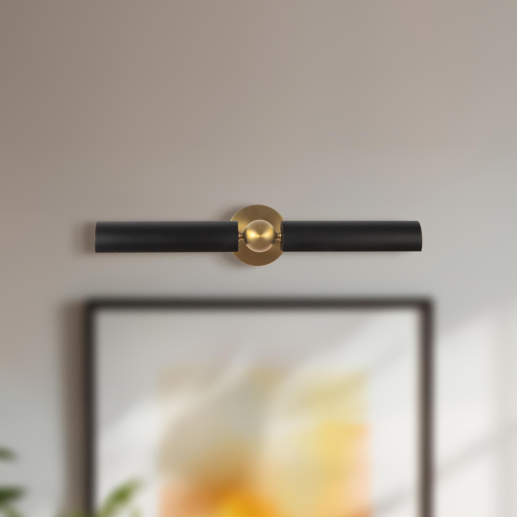 Peyton Fox Cole Picture and Display Light by Alora Mood