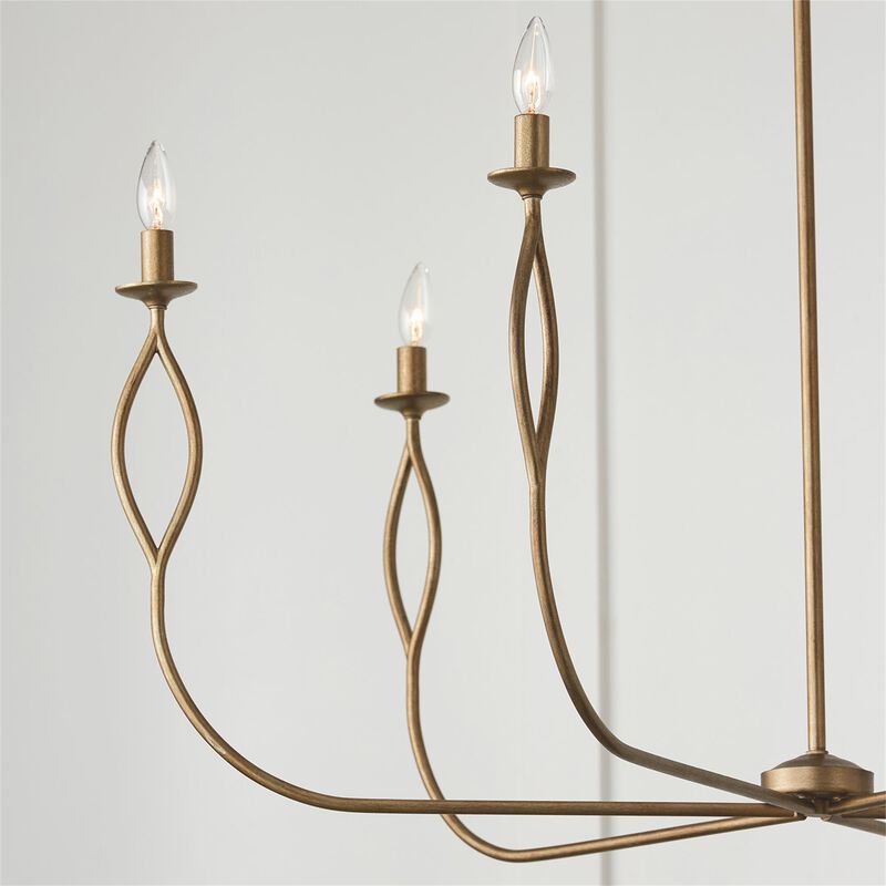 Cohen 44 Inch 6 Light Chandelier by Capital Lighting Fixture Company
