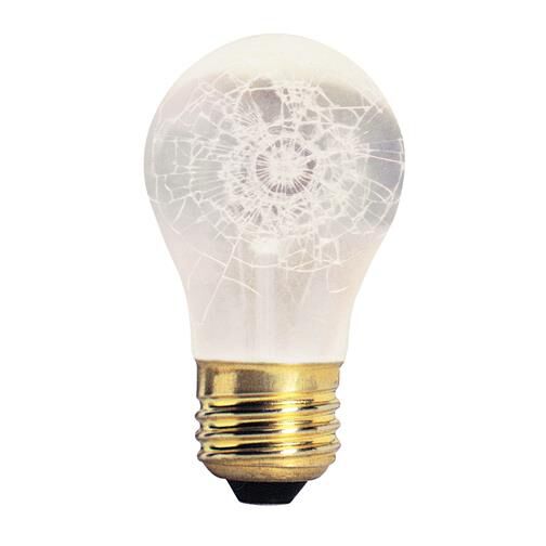 40 Watt A15 Incandescent Light Bulb by Bulbrite