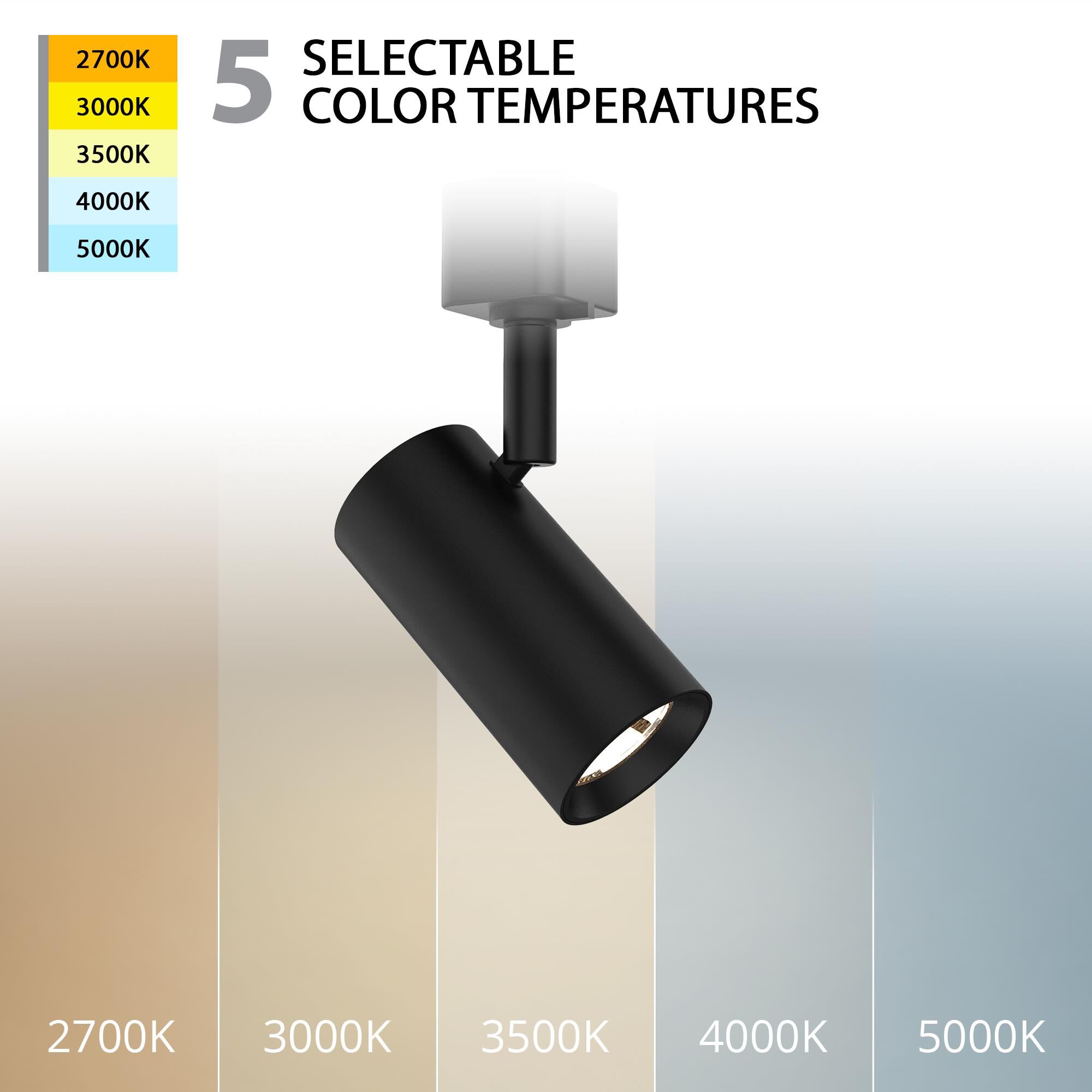 Cyn 6 Inch Directional Head by WAC Lighting