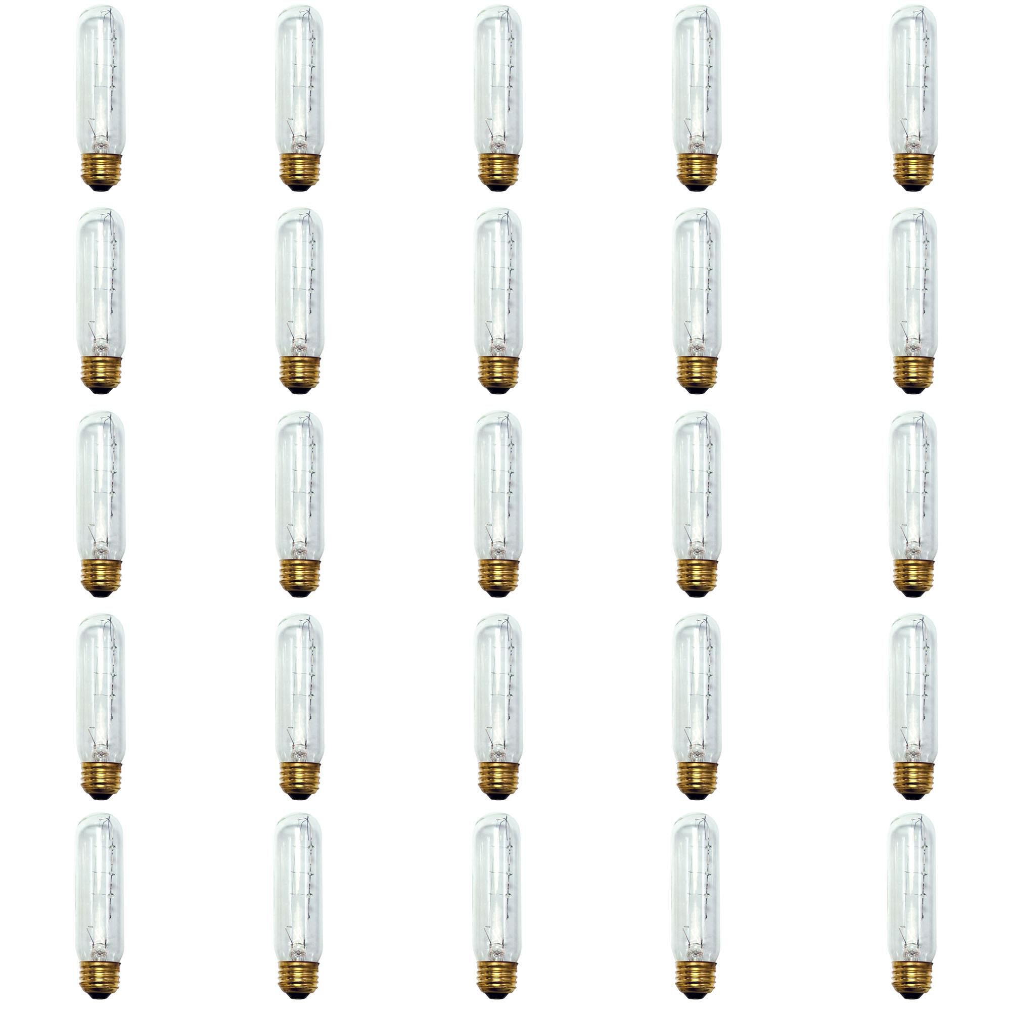 40 Watt 2700K T10 Incandescent Light Bulb,