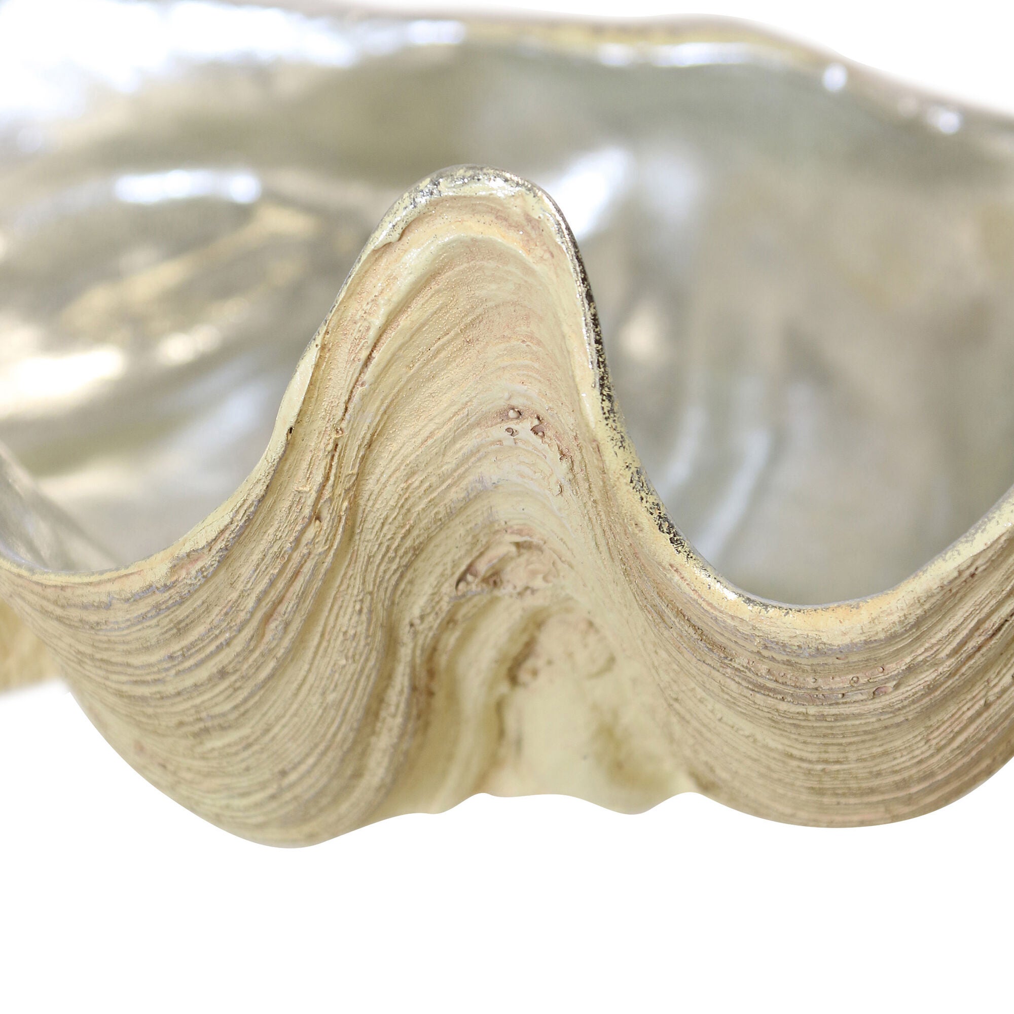 Clam Bowl,