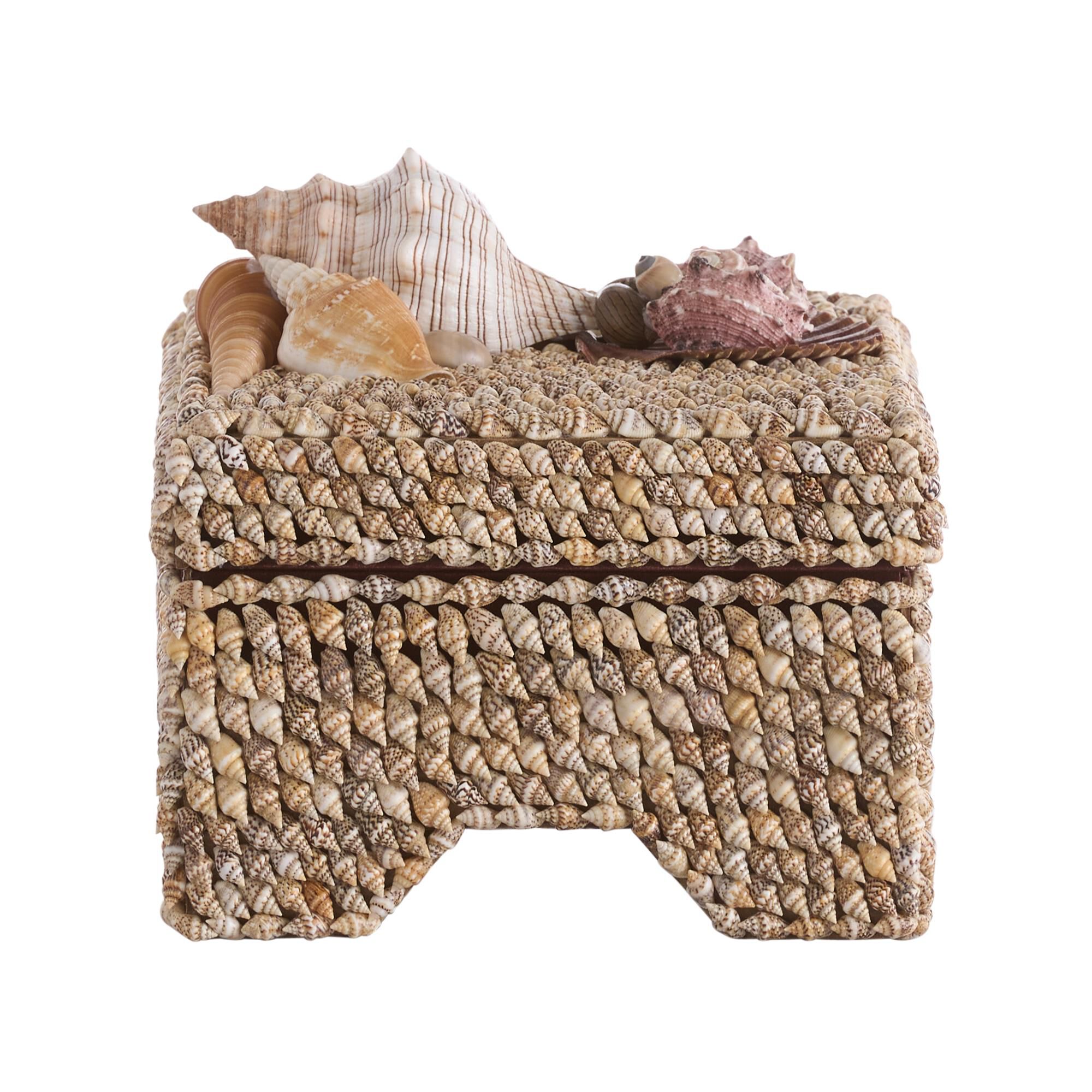 Island Shell Accent Box by Chelsea House