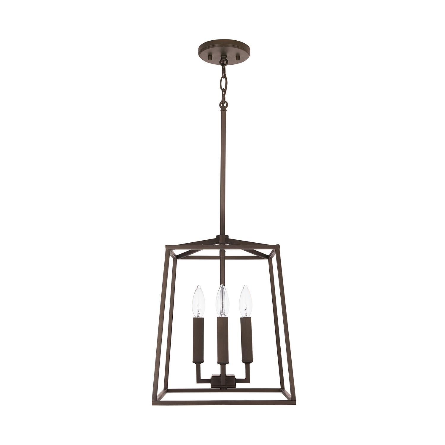 Thea 12 Inch Cage Pendant by Capital Lighting Fixture Company