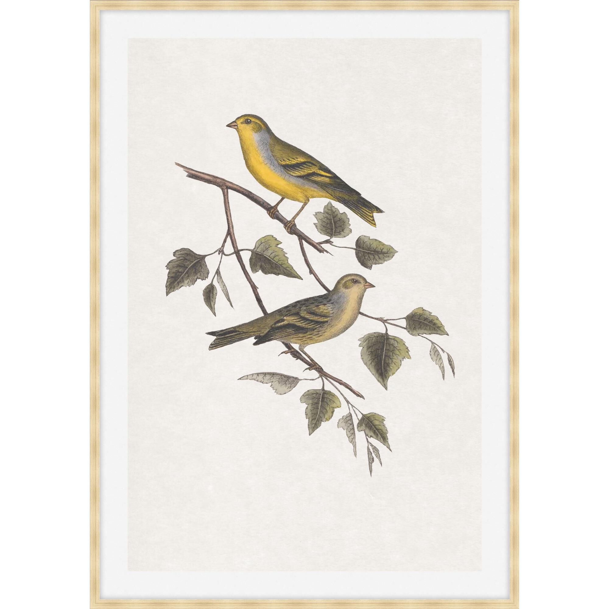 Studio L57 Nouvelle Nesting Navigators Ivory Print by LEVEL57